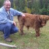 CDN-Cowboy